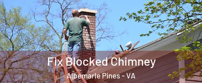 Fix Blocked Chimney Albemarle Pines - VA