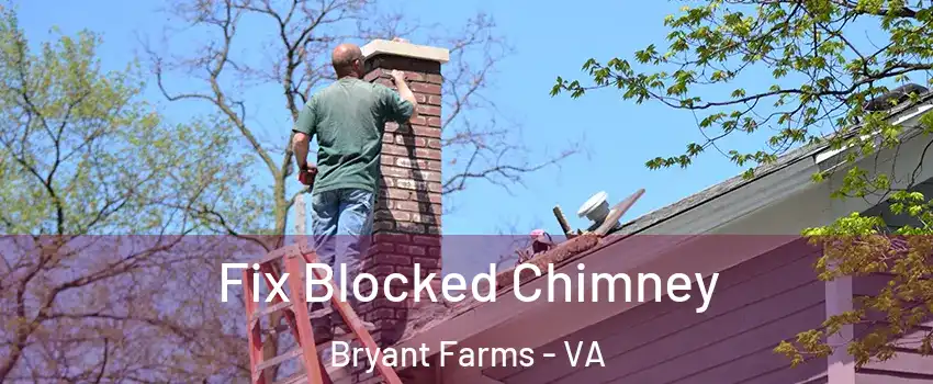 Fix Blocked Chimney Bryant Farms - VA