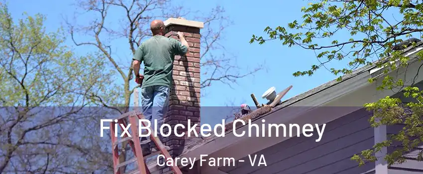 Fix Blocked Chimney Carey Farm - VA