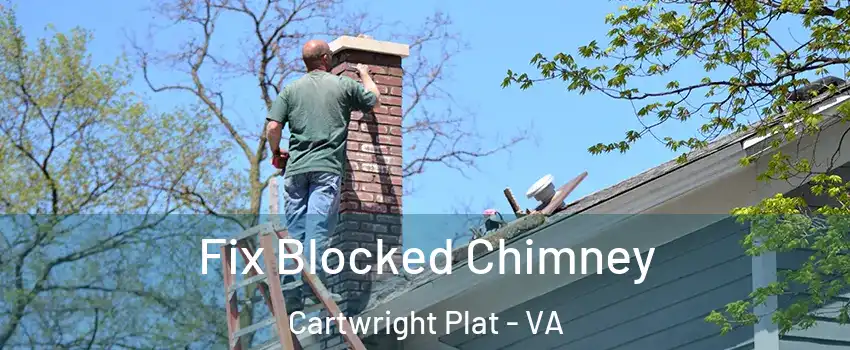 Fix Blocked Chimney Cartwright Plat - VA