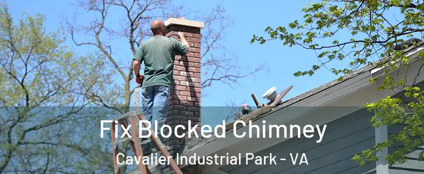 Fix Blocked Chimney Cavalier Industrial Park - VA