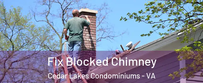 Fix Blocked Chimney Cedar Lakes Condominiums - VA