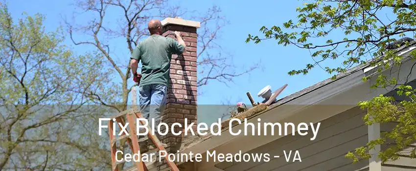 Fix Blocked Chimney Cedar Pointe Meadows - VA