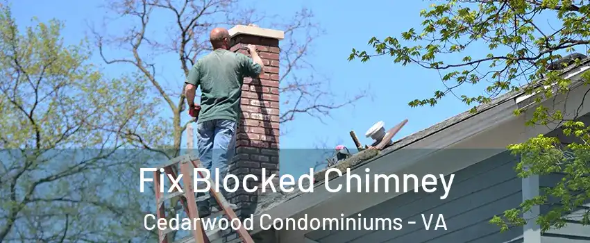 Fix Blocked Chimney Cedarwood Condominiums - VA