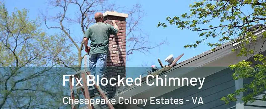 Fix Blocked Chimney Chesapeake Colony Estates - VA