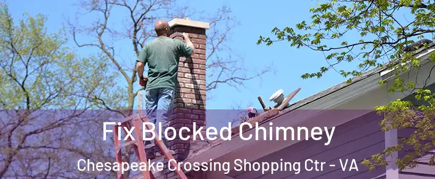 Fix Blocked Chimney Chesapeake Crossing Shopping Ctr - VA