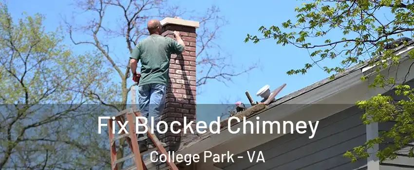 Fix Blocked Chimney College Park - VA