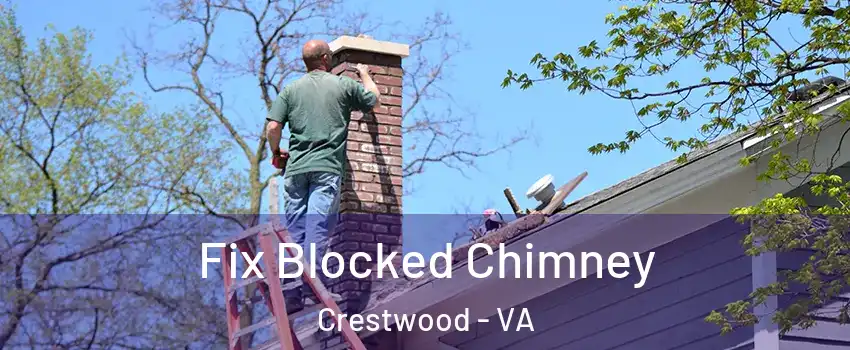 Fix Blocked Chimney Crestwood - VA