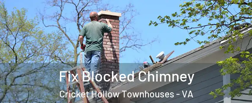 Fix Blocked Chimney Cricket Hollow Townhouses - VA