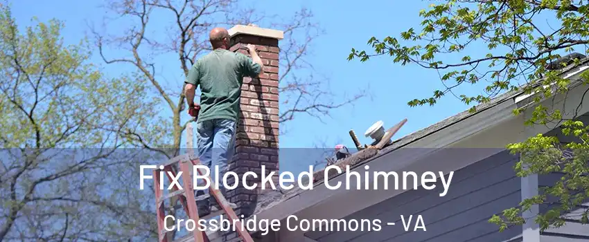 Fix Blocked Chimney Crossbridge Commons - VA