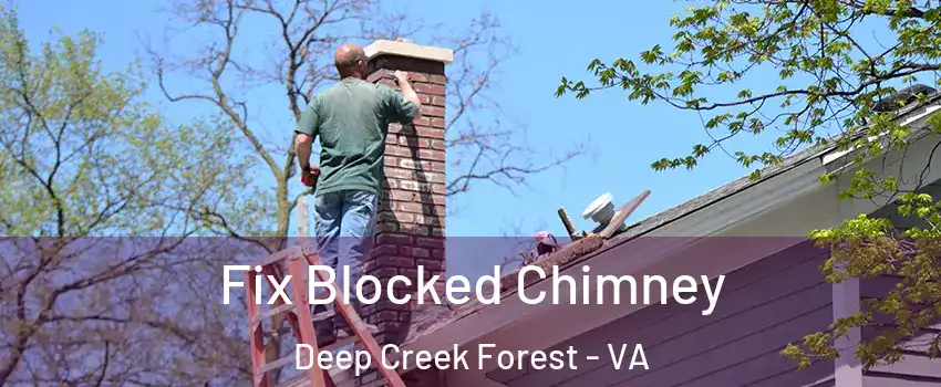 Fix Blocked Chimney Deep Creek Forest - VA