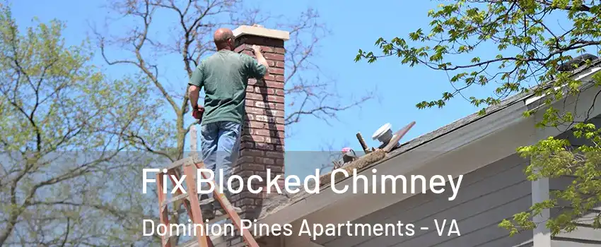 Fix Blocked Chimney Dominion Pines Apartments - VA