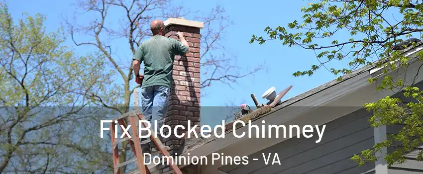 Fix Blocked Chimney Dominion Pines - VA