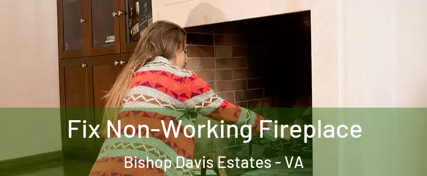 Fix Non-Working Fireplace Bishop Davis Estates - VA