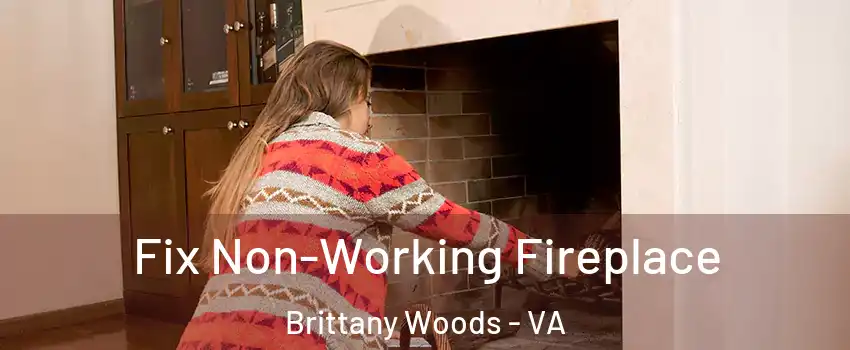 Fix Non-Working Fireplace Brittany Woods - VA