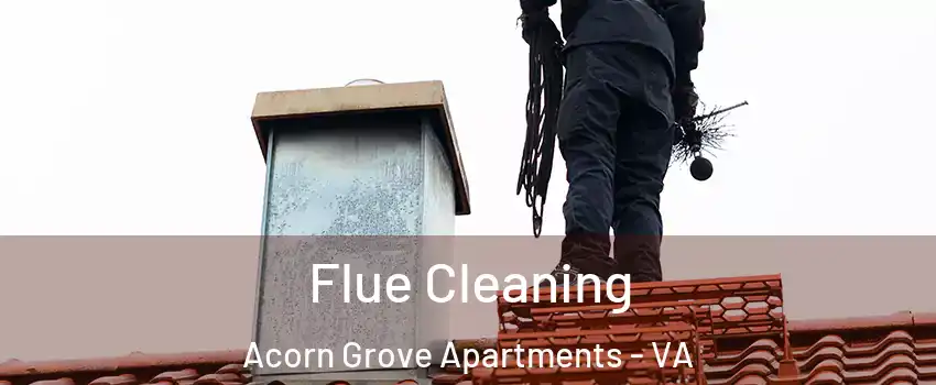 Flue Cleaning Acorn Grove Apartments - VA