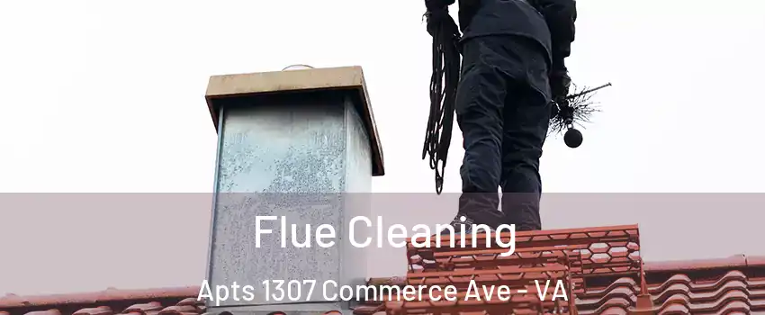 Flue Cleaning Apts 1307 Commerce Ave - VA