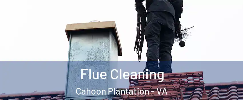 Flue Cleaning Cahoon Plantation - VA