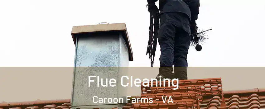 Flue Cleaning Caroon Farms - VA