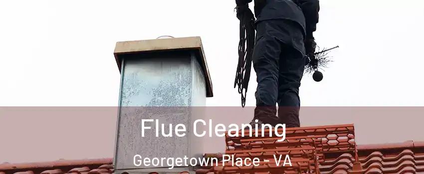 Flue Cleaning Georgetown Place - VA