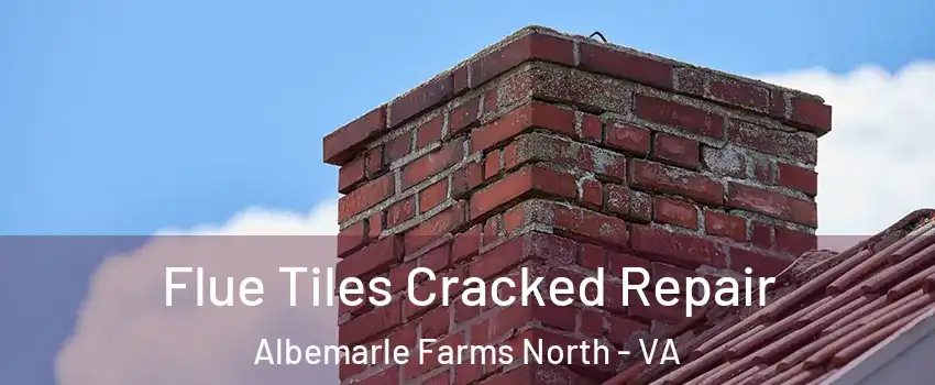 Flue Tiles Cracked Repair Albemarle Farms North - VA