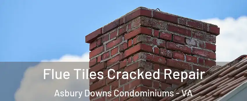 Flue Tiles Cracked Repair Asbury Downs Condominiums - VA