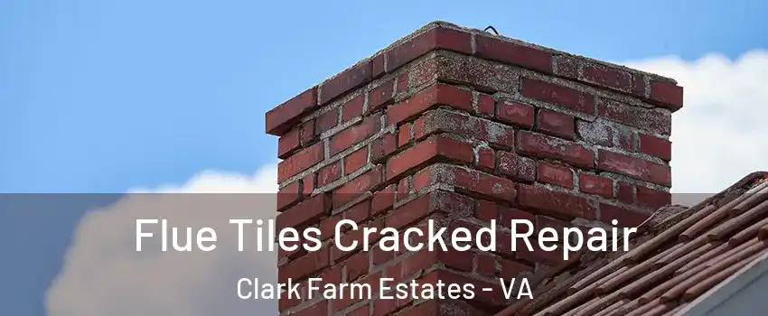 Flue Tiles Cracked Repair Clark Farm Estates - VA