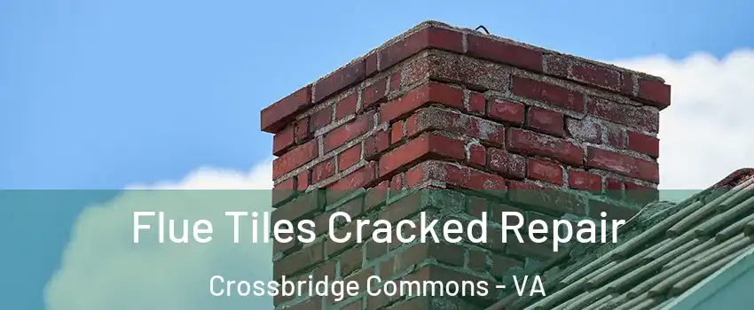 Flue Tiles Cracked Repair Crossbridge Commons - VA