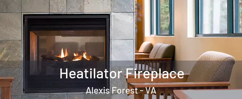 Heatilator Fireplace Alexis Forest - VA