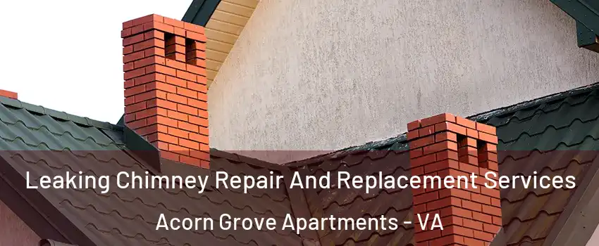 Leaking Chimney Repair And Replacement Services Acorn Grove Apartments - VA