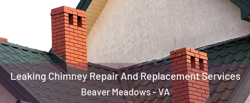 Leaking Chimney Repair And Replacement Services Beaver Meadows - VA