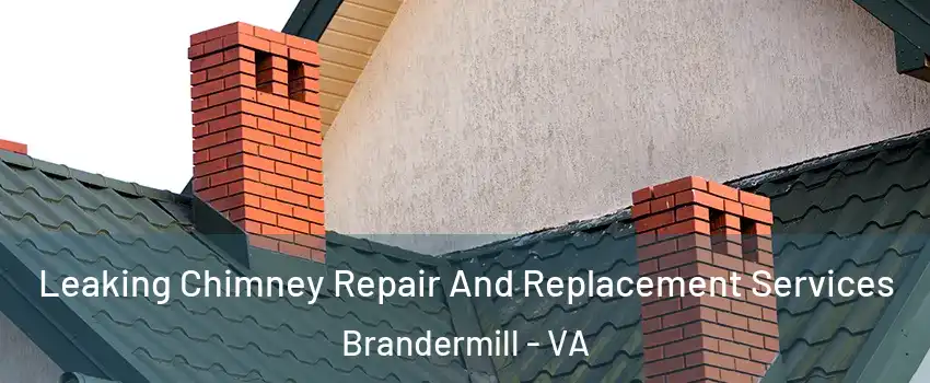 Leaking Chimney Repair And Replacement Services Brandermill - VA