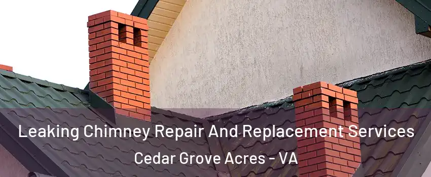 Leaking Chimney Repair And Replacement Services Cedar Grove Acres - VA