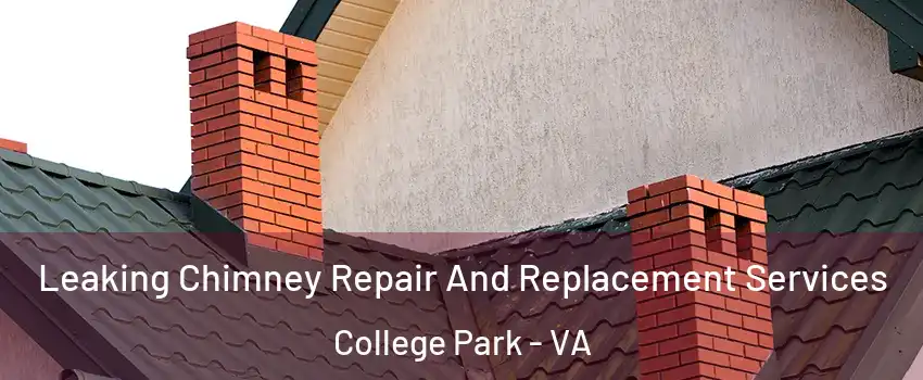 Leaking Chimney Repair And Replacement Services College Park - VA