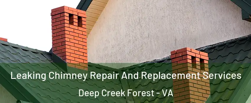 Leaking Chimney Repair And Replacement Services Deep Creek Forest - VA