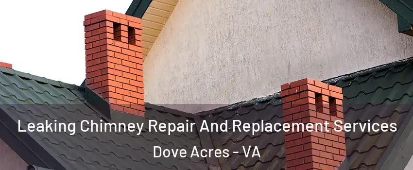 Leaking Chimney Repair And Replacement Services Dove Acres - VA