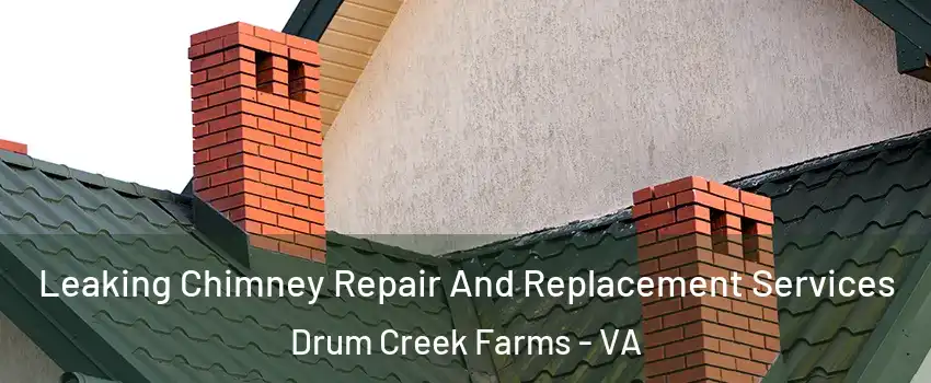 Leaking Chimney Repair And Replacement Services Drum Creek Farms - VA