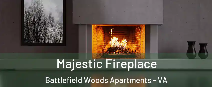 Majestic Fireplace Battlefield Woods Apartments - VA