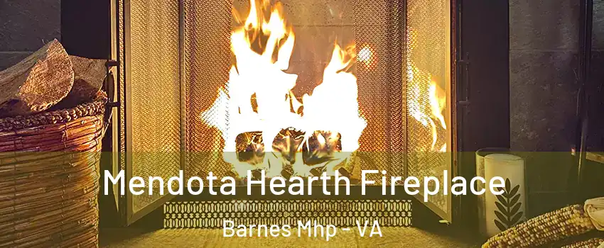 Mendota Hearth Fireplace Barnes Mhp - VA