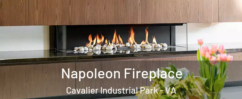 Napoleon Fireplace Cavalier Industrial Park - VA