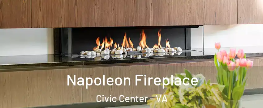 Napoleon Fireplace Civic Center - VA