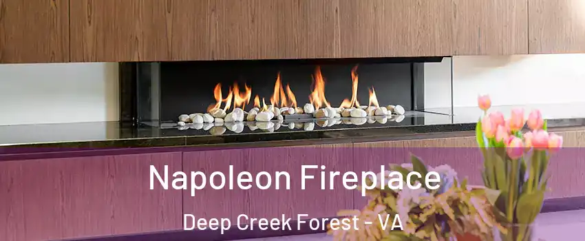 Napoleon Fireplace Deep Creek Forest - VA