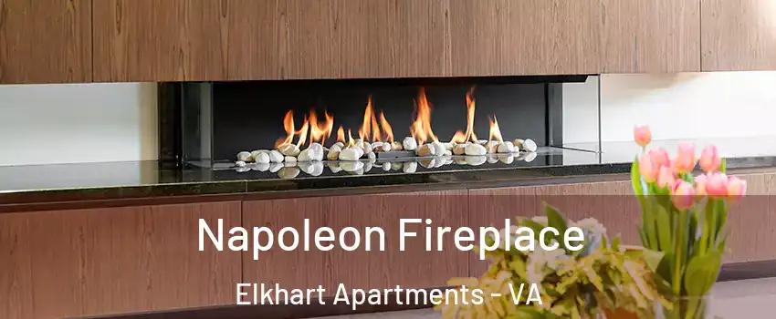 Napoleon Fireplace Elkhart Apartments - VA