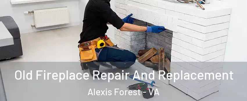 Old Fireplace Repair And Replacement Alexis Forest - VA