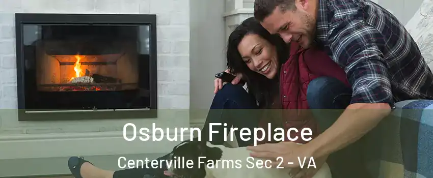 Osburn Fireplace Centerville Farms Sec 2 - VA