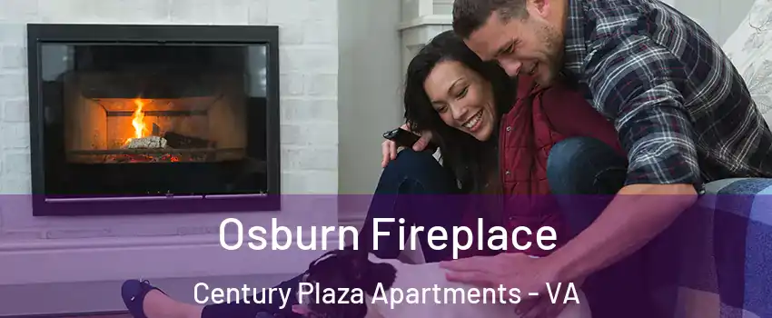 Osburn Fireplace Century Plaza Apartments - VA