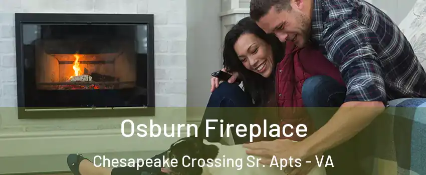 Osburn Fireplace Chesapeake Crossing Sr. Apts - VA