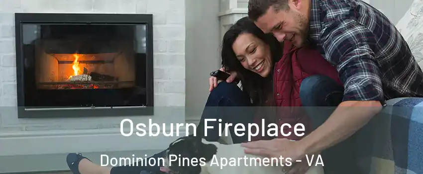 Osburn Fireplace Dominion Pines Apartments - VA