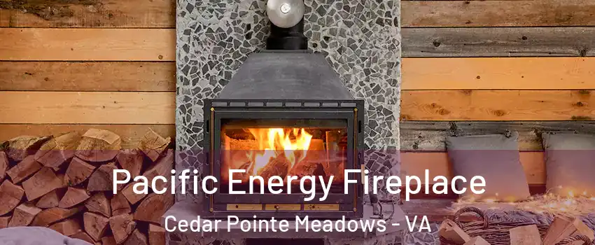 Pacific Energy Fireplace Cedar Pointe Meadows - VA