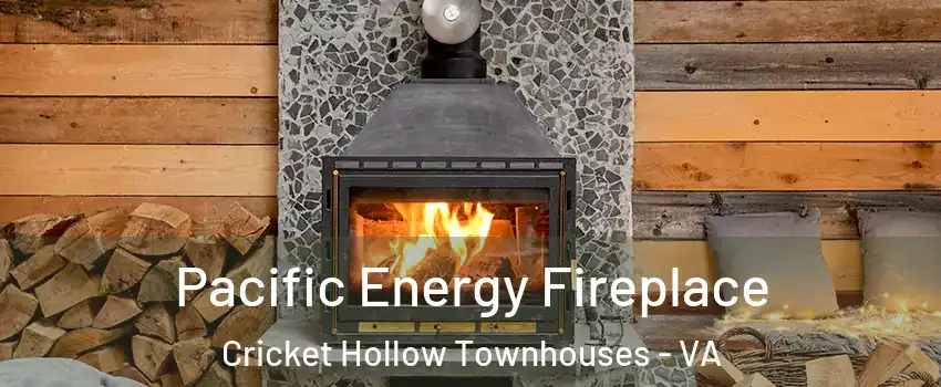 Pacific Energy Fireplace Cricket Hollow Townhouses - VA